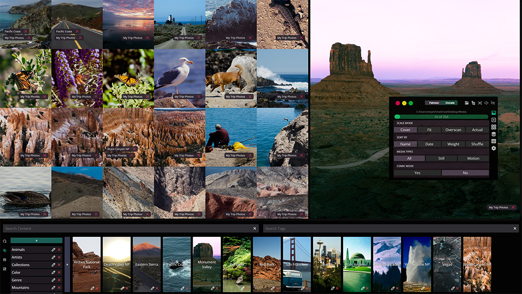 Lowkey Media Viewer interface showing grid view with photos and tagging system